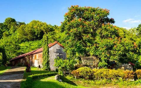 Rustic stone house with wood accents amid lush greenery and orange blooms under a clear blue sky