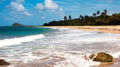 Scenic tropical beach with blue sea, palm trees, and distant island