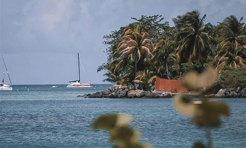 Scenic tropical coastline with palm trees, sailboats, and a red-roofed structure.