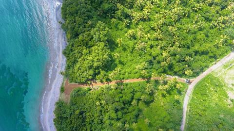 Aerial view of tropical forest coastline with a scenic road and blue sea.