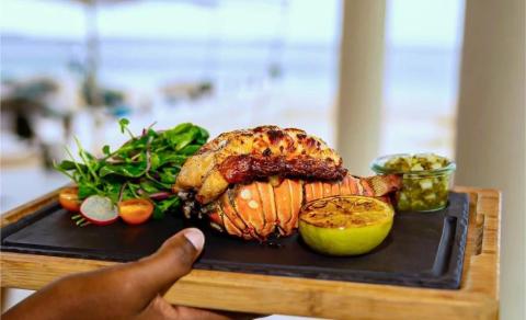 Grilled lobster and chicken on wooden board with salad and lime at beachside.