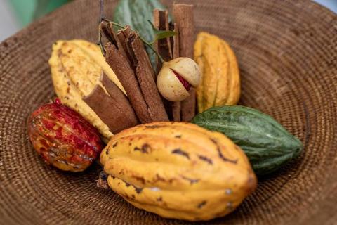 Raw cocoa pods with cinnamon and nutmeg on woven mat for chocolate making.