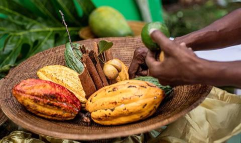 Variety of tropical fruits and spices in a lush green setting