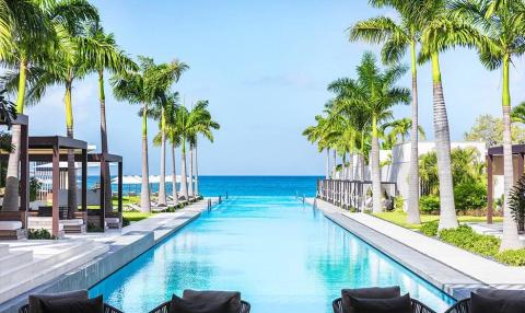 Luxury infinity pool with ocean view, palm trees, and modern cabanas