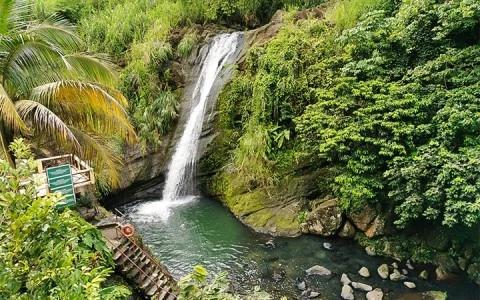 Idyllic waterfall in lush green forest with viewing platform and clear pool.