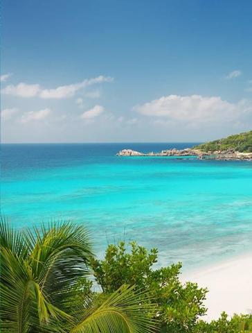 Scenic tropical beach with turquoise waters, white sand, and lush palm leaves"
