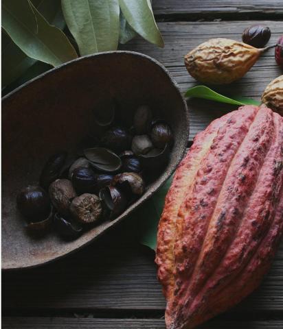 Rustic wooden surface with chestnuts, cocoa pod, and green leaves
