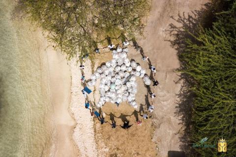Volunteers circle trash bags at beach cleanup, enhancing coastal environment.
