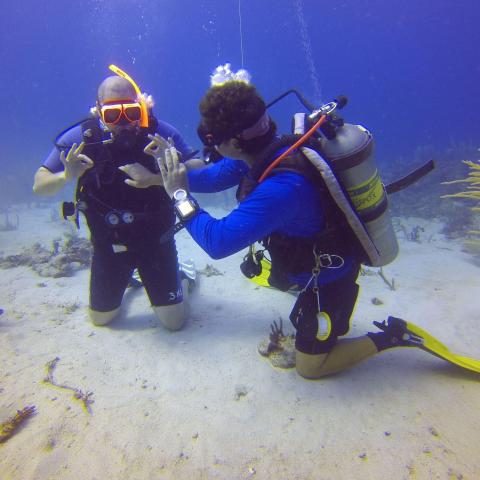 Scuba divers underwater with gear, one signaling OK, in murky blue waters