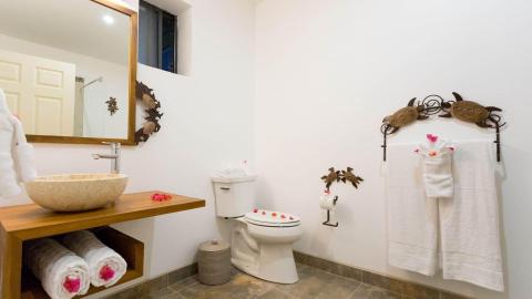 Modern bathroom with wooden vanity, stone sink, and decorative red flowers.
