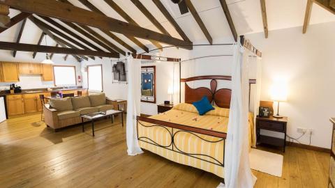 Spacious dual-purpose room with bedroom and living area, modern kitchen.