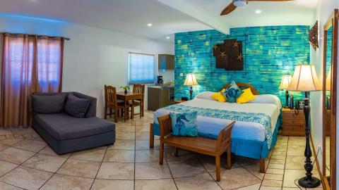 Stylish studio apartment with bed, kitchenette, and cozy lounge area.