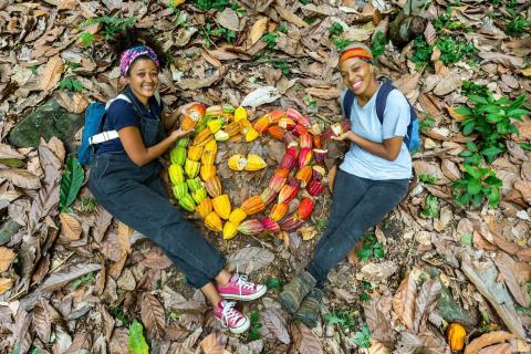 Two women arranging cacao pods in heart shape on forest floor