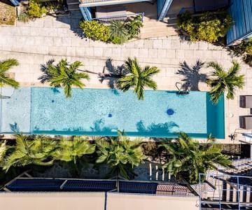 Aerial view of a rectangular swimming pool with palm trees at a resort
