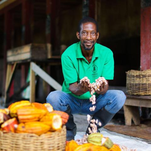 Man in green polo at market holding garlic, with cocoa pods and produce around.