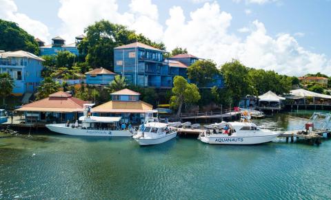 Colorful coastal scene with boats at Aquanauts pier, tropical buildings, sunny sky