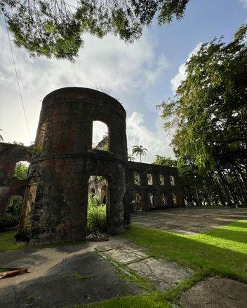 Barbados: A Glimpse into Historic Ruins and Architecture Historic ruins in Barbados with lush greenery