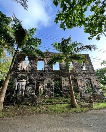 Barbados Historical Ruins Surrounded by Tropical Flora Ruins of an old stone building in Barbados with palm trees