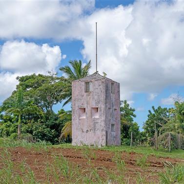 Barbados historical landmark amidst tropical landscape A historic structure surrounded by lush greenery in Barbados