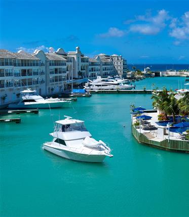 Barbados Luxury Waterfront Hotel and Marina Luxurious waterfront hotel with yachts in Barbados