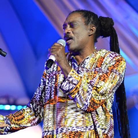 Barbados Music Scene: Capturing Live Performances Musician performing at an event in Barbados