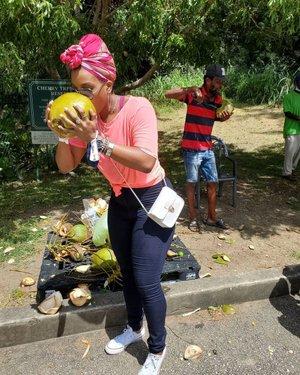Barbados Coconut Refreshment Experience A person enjoying a fresh coconut drink in Barbados