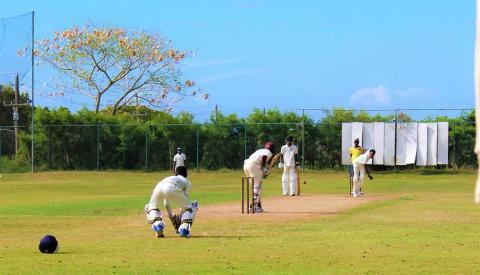 Barbados cricket scene with players during a game Cricket match in progress with players in action on the field