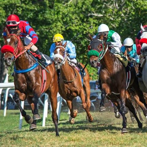 Barbados Horse Racing Action Captured Horse racing event with jockeys in Barbados