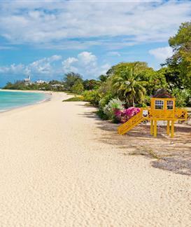 Barbados Beach View with Turquoise Water Sandy beach scenery in Barbados with clear sky