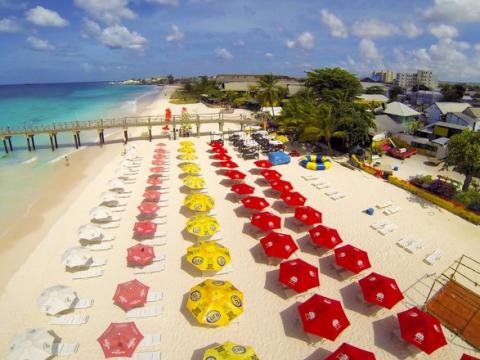 Barbados Beach Paradise with Crystal Clear Waters Vibrant beach scene with colorful umbrellas in Barbados