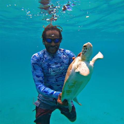 Barbados Underwater Adventure with Sea Turtle Man holding a sea turtle underwater in Barbados