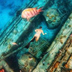 Barbados Underwater Adventure With Marine Life Underwater scene with a person and marine life in Barbados