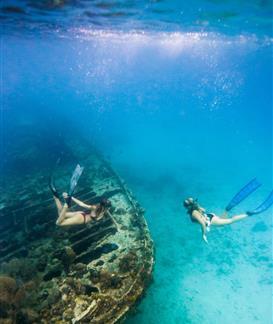 Barbados Adventure with Underwater Snorkeling Barbados underwater exploration with people snorkeling