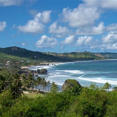 Barbados Beauty: Coastal Landscape and Pristine Beaches Scenic view of a beach in Barbados with lush landscape
