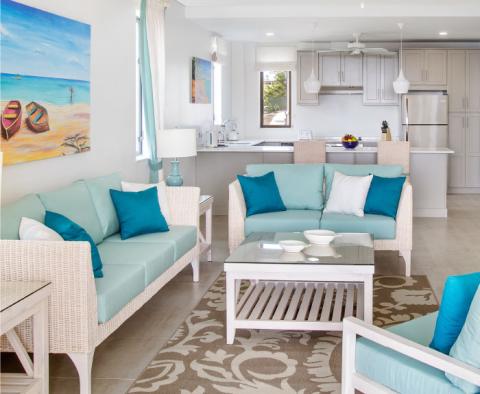 This image features a modern and brightly lit living room that transitions seamlessly into a kitchen area