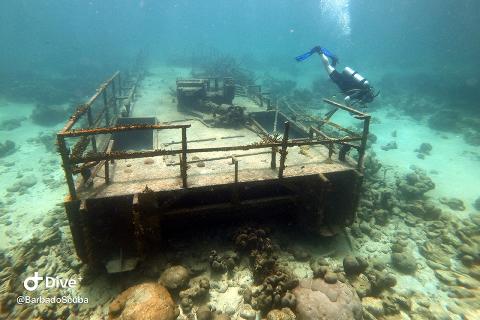 The image depicts an underwater scene where a scuba diver is swimming above a sunken shipwreck