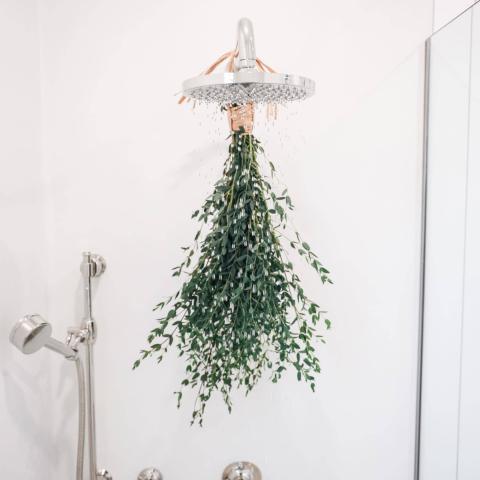The image shows a shower head from which water is flowing, with a bunch of fresh green eucalyptus leaves tied beneath it