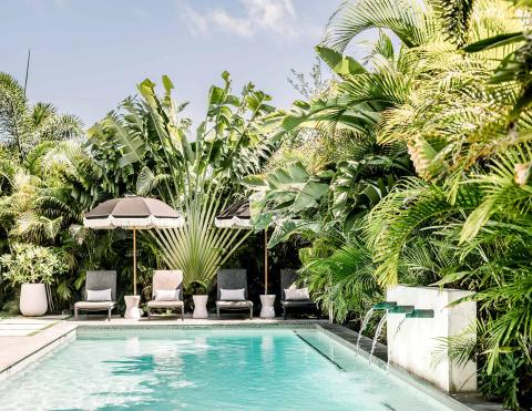 This image shows a serene poolside area surrounded by lush tropical greenery