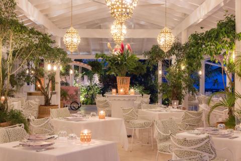 This image features a beautifully decorated restaurant or dining area with a tropical theme