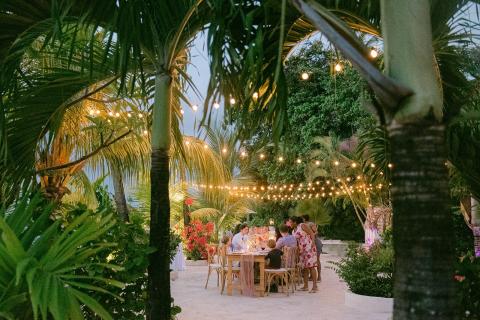 This image captures a delightful outdoor dining scene set in a tropical environment