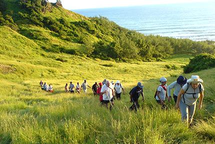 This image shows a group of hikers walking through a coastal grassland area
