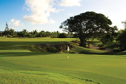 The image features a scenic golf course with a focus on a green area where the hole and flagstick are prominently displayed