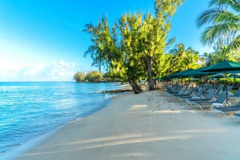 This image features a beautiful tropical beach scene