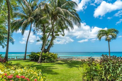 This image shows a beautiful tropical beach setting