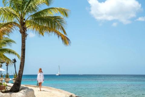 The image features a scenic tropical beach setting with clear blue skies