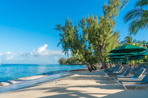 This image shows a serene beach with a clear blue sky