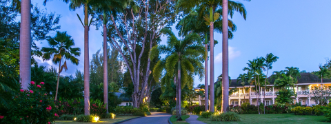 The image shows a beautifully landscaped tropical resort or residential area during twilight