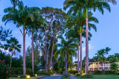 The image depicts a scenic tropical landscape featuring a well-maintained driveway leading up to an elegant, colonial-style house with multiple balconies