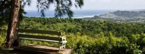 The image shows a serene and picturesque setting overlooking a lush, green landscape