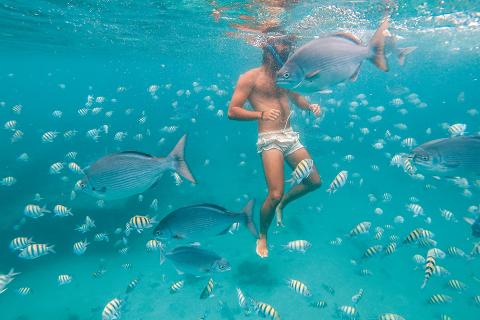 This image captures a vibrant underwater scene where a person is swimming amidst a group of fish